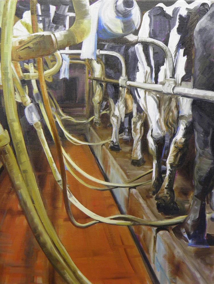 Inside the milking parlour
