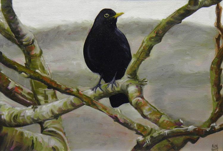 Blackbird in the branches